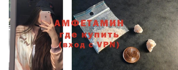 прущие грибы Карталы