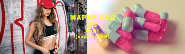 прущие грибы Карталы