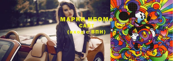 стафф Каменка