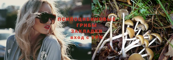 стафф Каменка