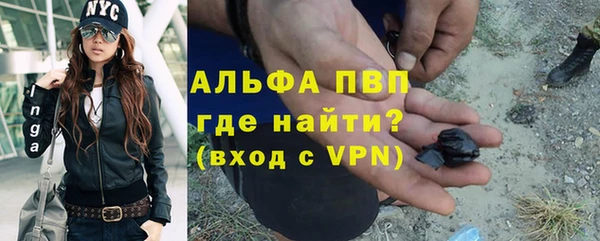 каннабис Каменногорск