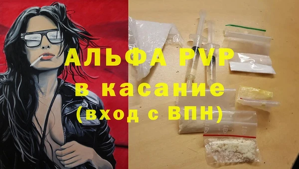 стафф Каменка