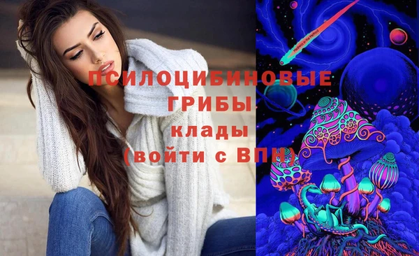 прущие грибы Карталы